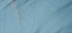 PALE PETROL BLUE