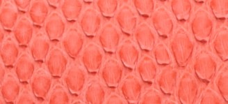 CADMIUM RED