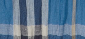 CORNFLOWER BLUE CHK