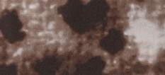 CHALK BROWN