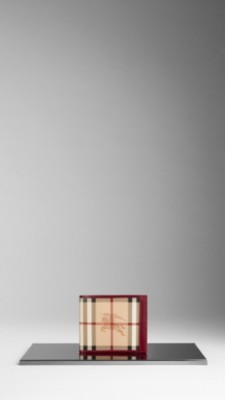 Haymarket Check ID Wallet