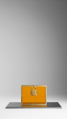 Framed Perspex Clutch