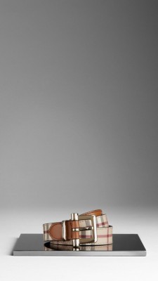Haymarket Check Belt