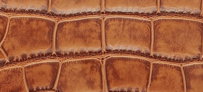CLAY