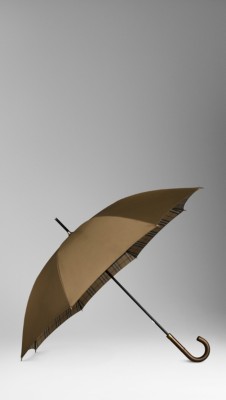Metallic Walking Umbrella