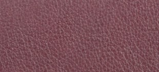 BOYSENBERRY