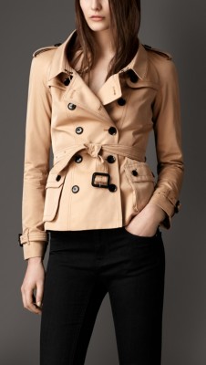 Oversize Collar Cotton Gabardine Jacket