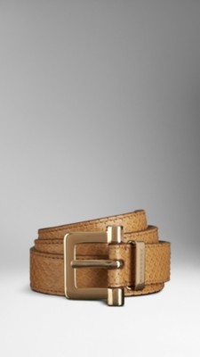 Python Belt