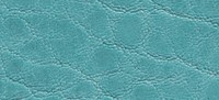 COBALT TURQUOISE