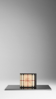 Haymarket Check ID Wallet