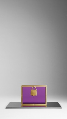 Framed Perspex Clutch
