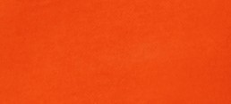 BRIGHT ORANGE
