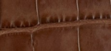 CLAY