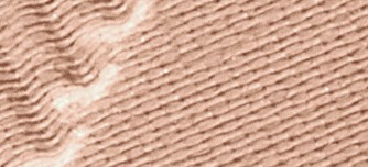 EARTHY BLUSH