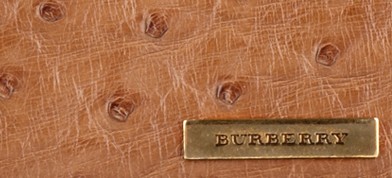 SADDLE BROWN