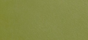 DARK PERIDOT GREEN