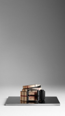 Haymarket Check Belt