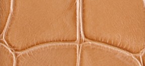 PALE TAN