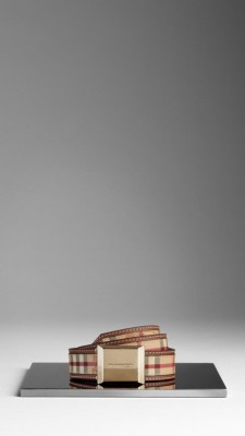 Haymarket Check Plaque Belt