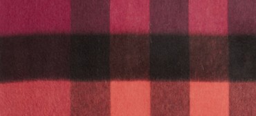 BOYSENBERRY CHECK