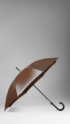 Metallic Wet Look Walking Umbrella
