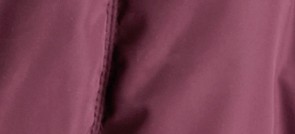 BOYSENBERRY