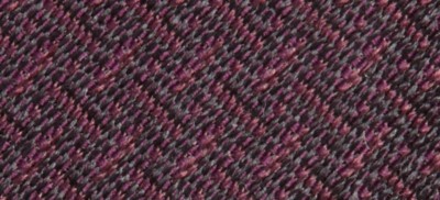 BOYSENBERRY
