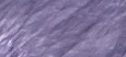 PALE ASTER