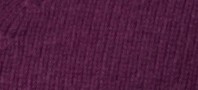 ELDERBERRY