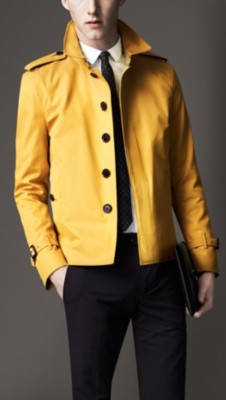 Cotton Gabardine Harrington Jacket