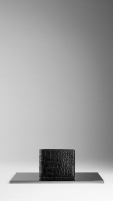 Alligator Leather Wallet