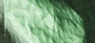 PALE POWDER GREEN