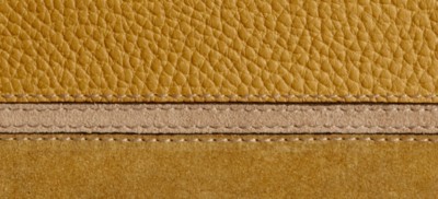DARK MUSTARD
