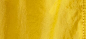 BRIGHT GORSE YELLOW