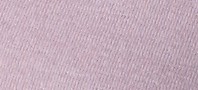 PALE ASTER