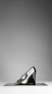 Python Wedge Pumps