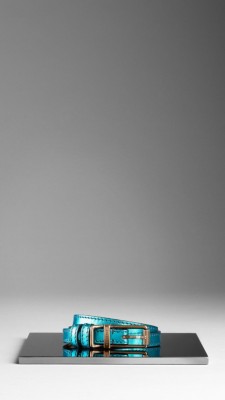 Metallic Leather Belt