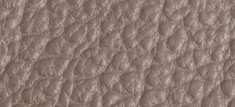 PALE TAUPE BROWN