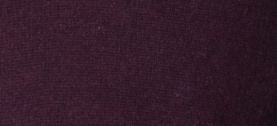 BRIGHT BILBERRY