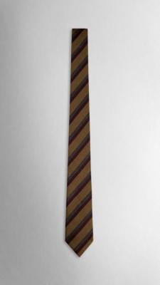 Striped Silk Tie