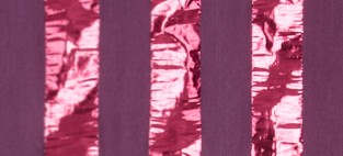 DARK DAMSON