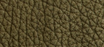 BRIGHT KHAKI