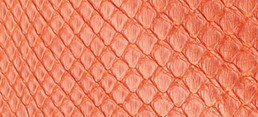 TANGERINE