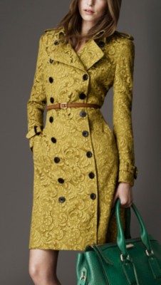 Long Lace Trench Coat
