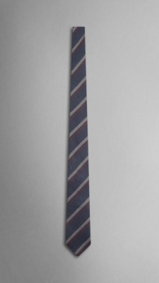 Striped Silk Tie