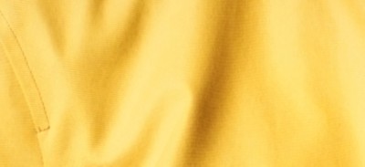 GORSE YELLOW