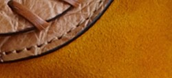 TURMERIC YELLOW