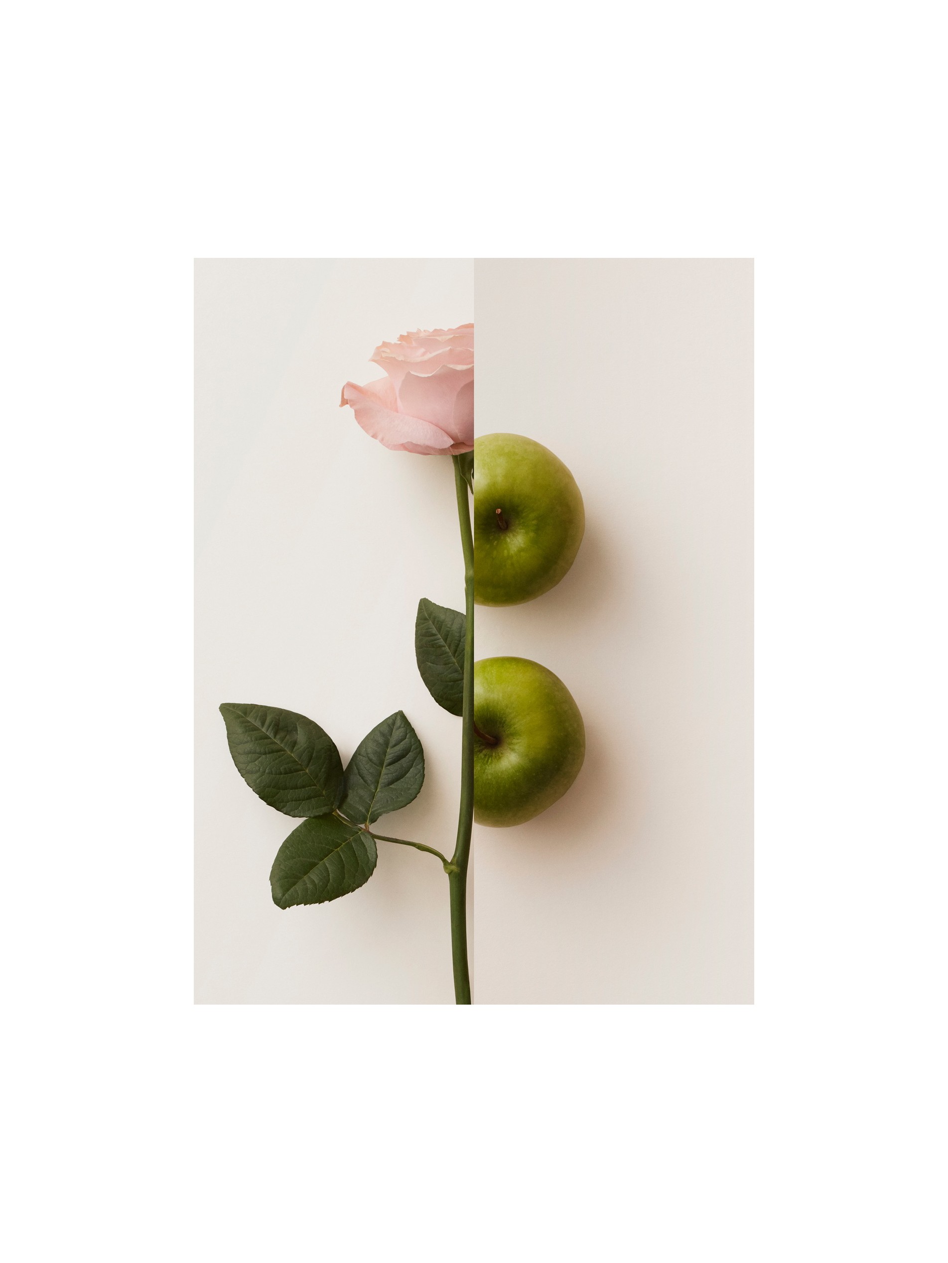 My Burberry Blush 我的博柏利花之绯女士香水 30ml 产品图片41