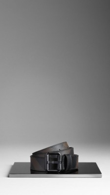 Smoked Check Belt