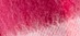 FUCHSIA CHECK